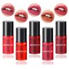 5 Colors Lip Tint Stain Set,Mini Velvet Lip Tint Watery Lip Stain Long Lasting Waterproof Moisturizing Lip & Cheek Tint,Hydrating,Natural Glossy Liquid Lipstick Lip Gloss Kits for Women