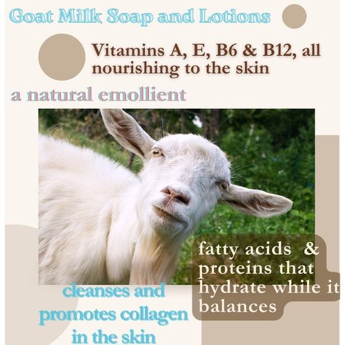 Goat Milk Soap 2 bars- BOGUE No.19 BESPOKE Namaste Yoga Blend Increase Breath awareness, essential oils of Holy Basil, Eucalyptus & Myrrh grounding Ginger, Vetiver & Patchouli keep you centered