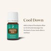 Young Living Eucalyptus Blue Premium Essential Oil Diffuser - 100% Pure, Cool & Refreshing Scent - Aromatherapy for Relaxation and Muscle Relief - 5ml Bottle