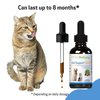 Pet Wellbeing Itch Support Gold for Cats - Vet-Formulated - Itchy Skin & Paws, Hot Spots, Skin Allergies - Natural Herbal Supplement 2 oz (59 ml)