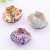 Fantasy Sea Shell Hair Clip,Acetate Hair Clip,Small Claw Clip for Women,Multicolored, 1 Count (Pack of 1)