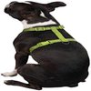 Zack & Zoey 5/8-Inch Nylon Dog Harness with Nickel-Plated D-Ring and Plastic Buckles, Parrot Green
