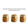 DEWHEL Brass 1/2" NPT Boat Drain Plugs,3pcs Boat Hull Spare Garboard Drain Plug for Bayliner Four Winns Glastron Larson Sea Ray Starcraft and Many Other Models