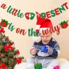 A Little Present Is On The Way Banner Christmas Baby Shower Decorations Winter Baby Shower Decorations Christmas Baby Shower Party Supplies