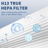HPA300 HEPA Filter Replacement for Honeywell HPA300 Series Air Purifiers HPA300, HPA300VP, HPA304, HPA3300, Replace HRF-R3 (3 Ture HEPA R Replacement Filter + 4 Activated Carbon Pre-Filter) by Funmit