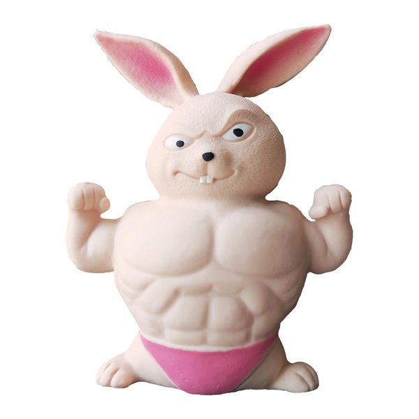 FSFHSJ Funny Squishy Bunny Toys, Squeeze Rabbit Toy, Stretchy and Squishy Bunny Toy , Pink Muscle Animal Figure Toys for Kids and Adults, Sensory Stress Relief Toy for Children and Adults.