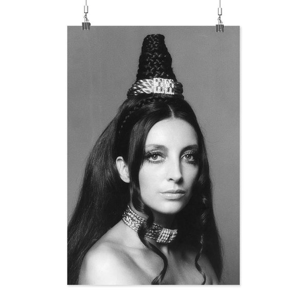 Alexander Paris Hair Fashion Poster - Image by Shutterstock