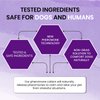 Royce Naturals 4 Pack Calming Collar for Dogs, Pheromone Breakaway Dog Collar, Separation Anxiety Relief for Dogs, Purple, (PETCOL01-3PP)