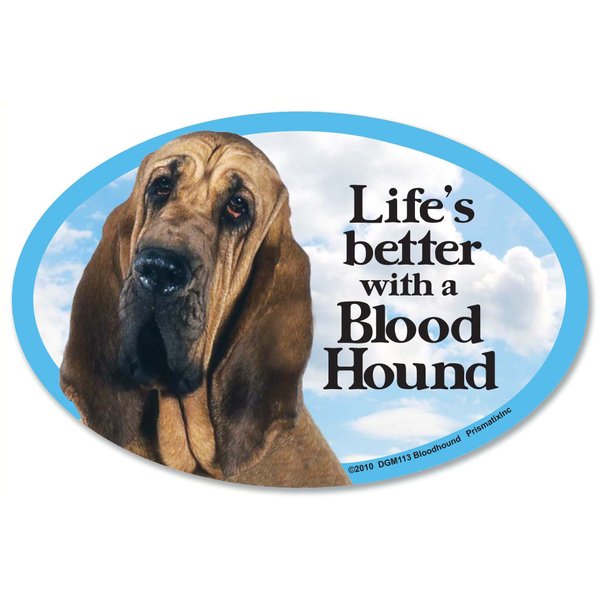 Prismatix Bloodhound Oval Dog Magnet for Cars