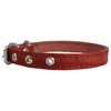 Red Real Leather Dog Collar 9.5"-13" Neck Size, 1/2" Wide Yorkshire Terrier, Puppies