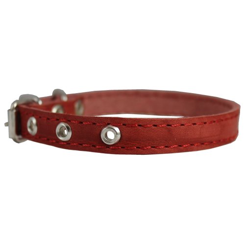 Red Real Leather Dog Collar 9.5"-13" Neck Size, 1/2" Wide Yorkshire Terrier, Puppies