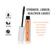 Peter Lamas Lash Masque Natural Lash Builder, Tint & Conditioner, Lash & Brow Growth Serum for Bolder, Stronger, Longer Lashes | Lash Enhancing Mascara Primer | Vegan, Paraben and Sulfate-Free 2 Pack