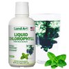 Liquid Chlorophyll Mint Flavored – Cold Extracted from Wild Non-GMO Alfalfa - Alkaline - Natural Body Deodorant – Antioxidant - 16 fl oz