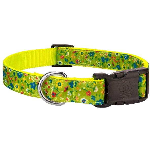 Country Brook Petz - Deluxe Sweet Floral Lemongrass Ribbon Dog Collar (1 Inch, Medium)
