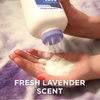 HealthWise Corn Starch Baby Powder | Soothing Lavender Scent | Talc Free | Paraben & Phthalate Free | Absorbs Moisture | 15 oz (425g)