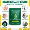 2 Pack Mullein Gummies for Lung Detox, Mullein Herbal Supplement, 2000mg Mullein Leaf Extract for Respiratory & Digestive & Immune Support