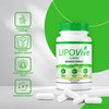 LipoVive Capsules, Official Lipo-Vive Pro Advanced Formula to Support Energy Throughout The Day, Mounja Mounj Natural LipoViv Capsulas lipoviv Detox Cleanse Premium Ingredients (60 Capsules)