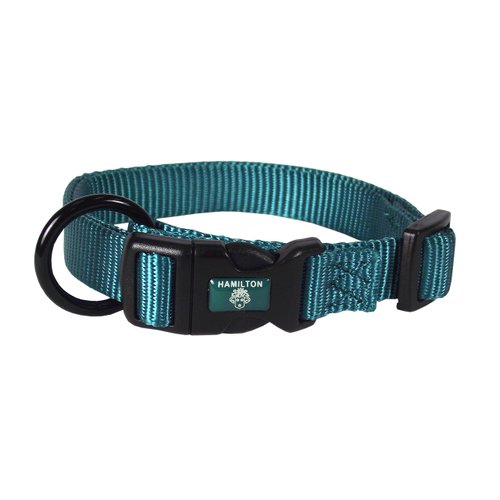 Hamilton Adjustable Nylon Dog Collar, Teal, 5/8" x 12-18"