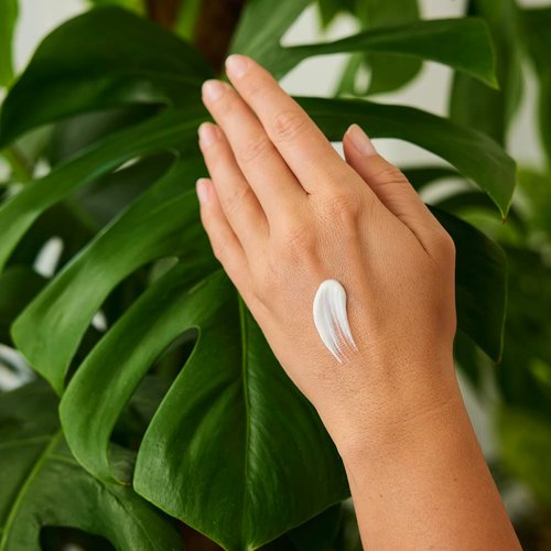 Weleda Sea Buckthorn Hand Cream, 1.7 Fluid Ounce