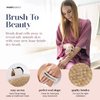 MainBasics Dry Brush | Dry Brushing Body Brush for Lymphatic Drainage, Dry Skin, Cellulite, Blood Circulation with Natural Bristles Exfoliating Body Scrubber for Flawless Skin