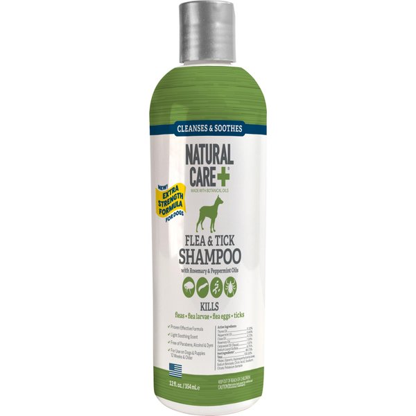 Natural Care Flea and Tick Dog Shampoo - Flea & Tick Treatment for Dogs - Flea & Tick Killer with Certified Natural Oils - 12 Fluid Ounces