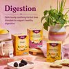 Yogi Tea Lemon Ginger Tea - 16 Tea Bags per Pack (6 Packs) - Organic Ginger Root Tea to Support Healthy Digestion - Includes Lemongrass, Lemon Flavor, Licorice Root, Lemon Peel & More