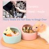 JSLZF Small Animal Bowl Ceramic Hamster Bowl Hamster Food Dish Prevent Knocking Over, Food Splashing and Chewing Feeding Dish for Gerbil Chinchilla Rat Ferret Hedgehog (3 PCS)