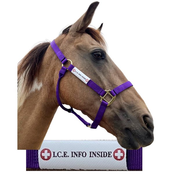 I.C.E. Halter ID Wraps Around a Flat or Rope Halter and Provides Your Emergency Contact Info to First Responder. Ideal for Everyday Use as well as for Natural Disaster Preparation (Large)