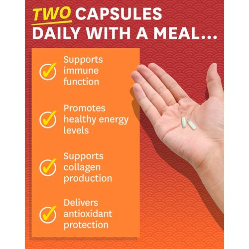 Zenwise Health Vitamin C Liposomal Ascorbic Acid - 1500 MG of Organic Highly Bio Available Vitamin C for Immune Health, Natural Energy Boost, and Skin Care Support - 3 Month Supply - 180 Capsules