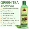 OKAY GREEN TEA NOURISHING ANTIOXIDANT RICH SHAMPOO 12oz / 355ml