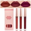 AMY'S DIARY 3Pcs Deep Dark Red Purple Plum Matte Liquid Lipstick Sets,Smudge Waterproof 24-hour Matte Lipstick dark Red Matte Lipstick Lip Stain Gloss Long Lasting (D#)