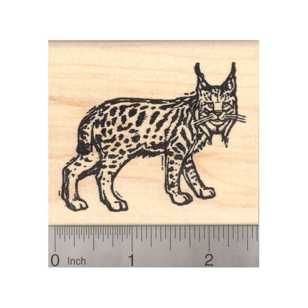 Bobcat Woodcut Style Rubber Stamp