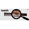 Speert #17 Handmade Wide Narrow Tooth Mustache Beard Comb Small Tortoise Havana Acetate Thick Coarse Curly Fine Short Pocket Sized Facial Hair Grooming Tangle Free Beard Straightener Growth Care Comb