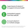 Rainbow Light High-Potency Vitamin C Gummies, Gummy Supplement Provides Antioxidant and Immune Support, With Vitamin C, Vegan and Gluten Free, 60 Count