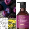 Theorie Helichrysum and Plum Nourishing Shampoo - Enrich and Soothe - Suited for Dry & Over Processed Hair - Protects Color & Keratin Treated Hair, Pump Bottle 800mL