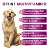 Dog Multivitamin Chewable with Glucosamine - Dog Vitamins and Supplements, Senior & Puppy Multivitamin for Dogs - Pet Chondroitin Hip and Joint Support Health, Immune Booster, Skin, Heart, Probiotics