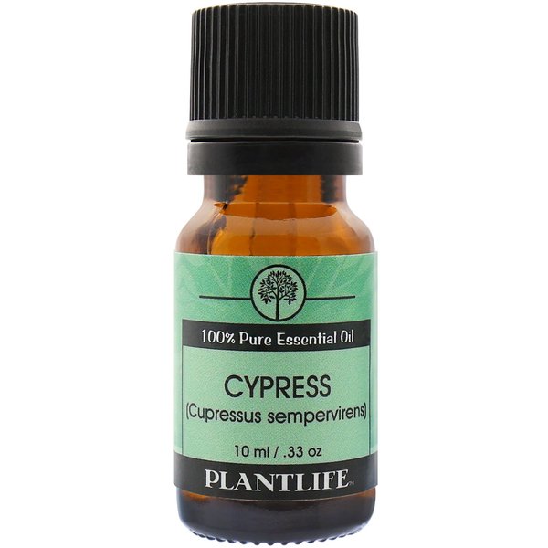 Plantlife Cypress Aromatherapy Essential Oil - Straight From The Plant 100% Pure Therapeutic Grade - No Additives or Filters - 10 ml
