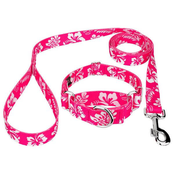 Country Brook Petz - Pink Hawaiian Martingale Dog Collar and Leash - Hawaiian Collection with 7 Tropical Designs (5/8 Inch, Small)