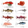 Fantarea 8 PCS Ocean Sea Marine Animal Model Figures Salmon Tuna Ratfish Figurines Party Favors Supplies Cake Toppers Decoration Collection Set Toys for 5 6 7 8 Years Old Boys Girls Kid Toddlers