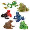 Realistic 6 PCS Animal Frog Bullfrog Model Figures Figurine Family Party Favors Supplies Cake Toppers Set Toys for 5 6 7 8 Years Old Boys Girls Kid Toddlers