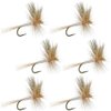 The Fly Fishing Place Light Cahill Classic Trout Dry Fly Fishing Flies - Set of 6 Flies Size 14
