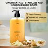 Ginger Plant Extract Anti Hair Loss Shampoo for Hair Regrowth, Thickening and Longer Hair - For Women & Men (400ML)