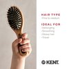 Kent Brushes Perfect For Range PF02 Pure Bristle and Nylon Mix Hair Brush Small/Travel Size