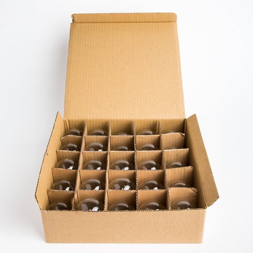 Hometown Evolution, Inc. Box of 25 G40 LED Diode Clear 1.6 Inch .6 Watt C7 Base Replacement Bulbs