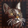 Tile Mosaic Craft Kit for Adults: Make Your Own Beautiful Art Piece, Square 7inch (20cm) Cat