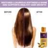 Premium Argan Oil for Hair, Hair Oil Treatment for Dry Damaged Hair, Leave in Hair Growth Oil (120 ML/4 OZ) Moroccan Oil Formula for Conditioning & Hair Loss Prevention by Desert Beauty