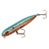 Heddon Zara Spook Topwater Fishing Lure - Legendary Walk-The-Dog Lure, G-Finish Blue Shad, Zara Puppy (1/4 oz)