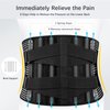 FREETOO Back Braces for Lower Back Pain Relief with 6 Stays, Breathable Back Support Belt for Men/Women for work , Anti-skid lumbar support belt with 16-hole Mesh for sciatica(M)
