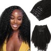 Lashey Clip in Hair Extensions Real Human Hair 16 Inch 110g 7pcs Afro Kinky-Curly Human Hair Clip Ins 4c Natural Black Hair