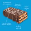 Little Secrets | Crispy Wafers | 30% Less Sugar | Guilt-Free | Nothing Artificial (Milk Chocolate & Sea Salt, 1.4 Ounce (Pack of 12))